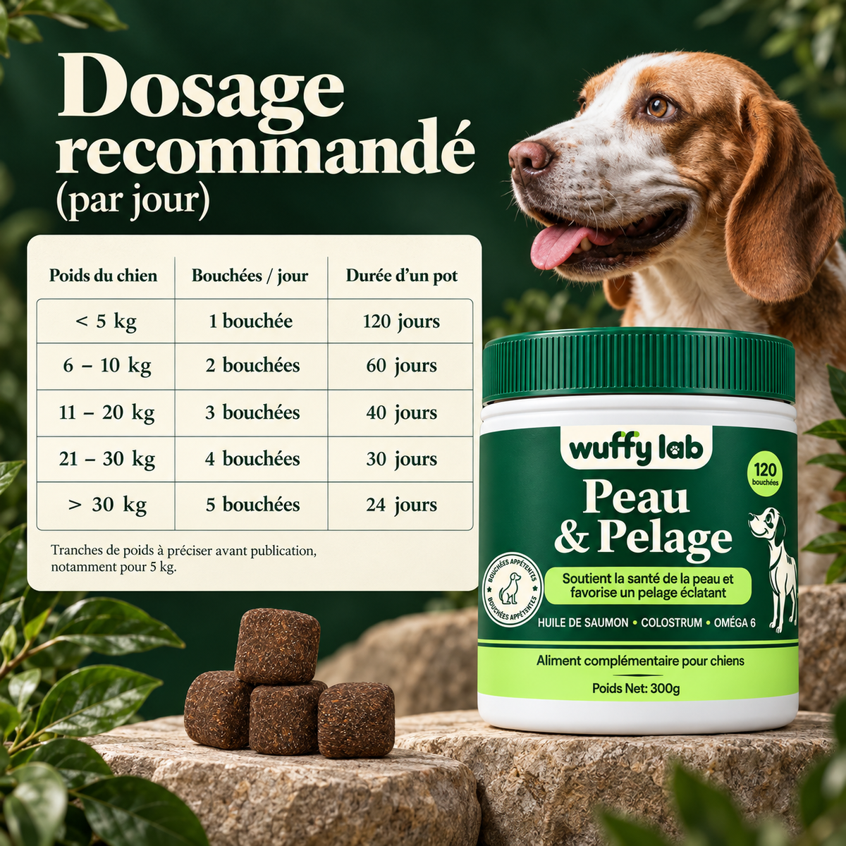 WuffyLab Peau & Pelage