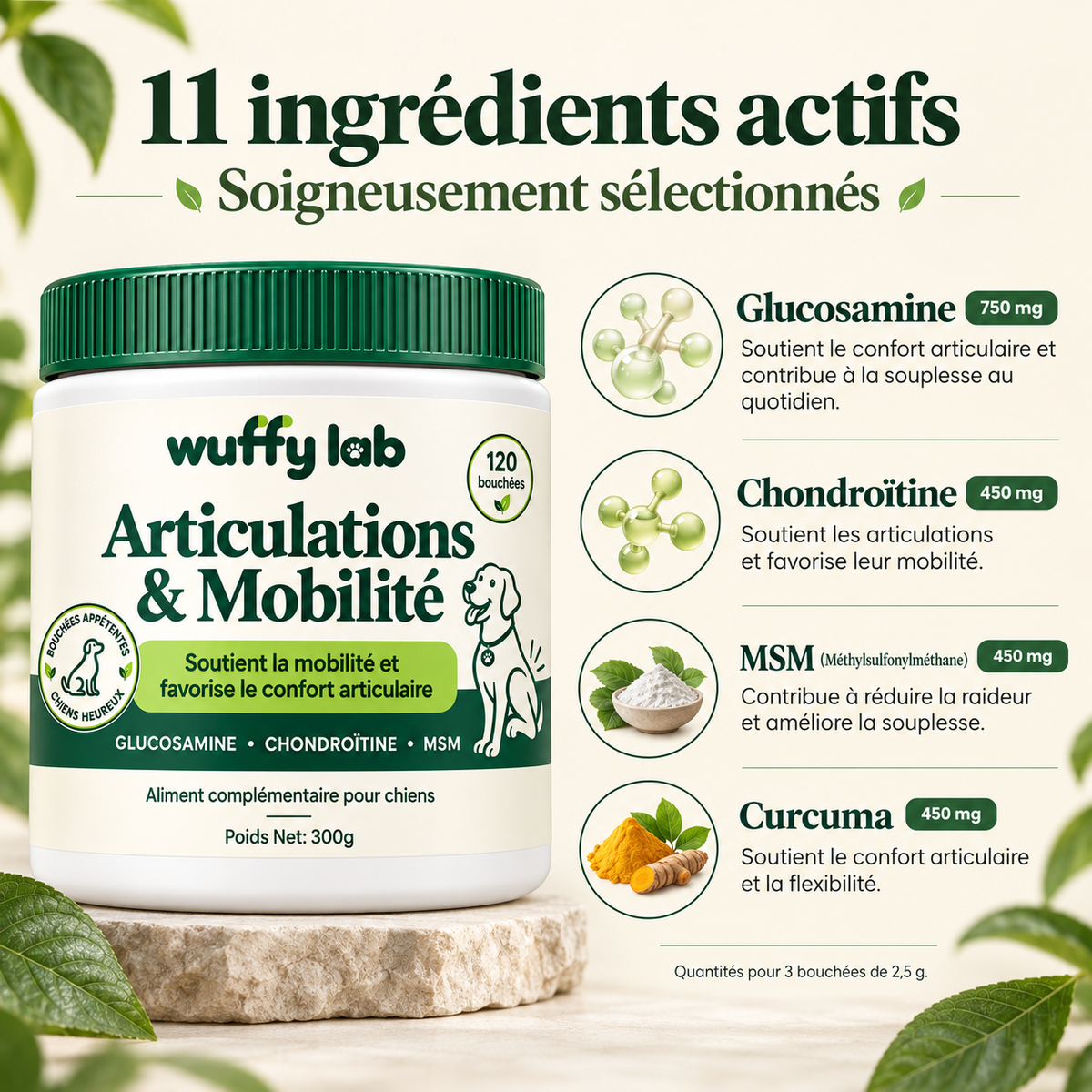 WuffyLab Articulations & Mobilité