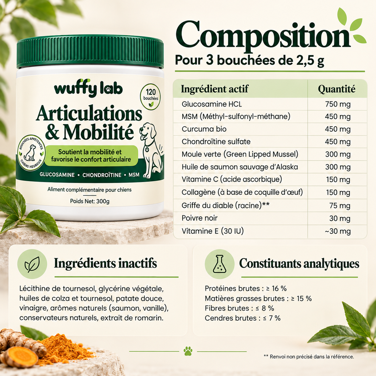 WuffyLab Articulations & Mobilité
