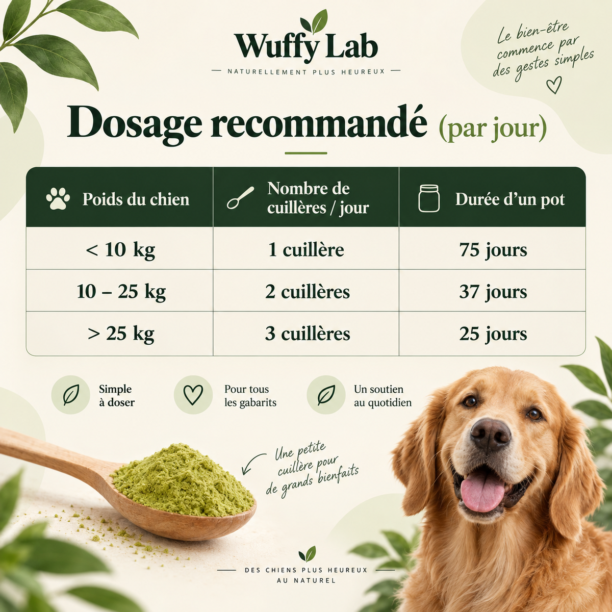 WuffyLab Santé Dentaire
