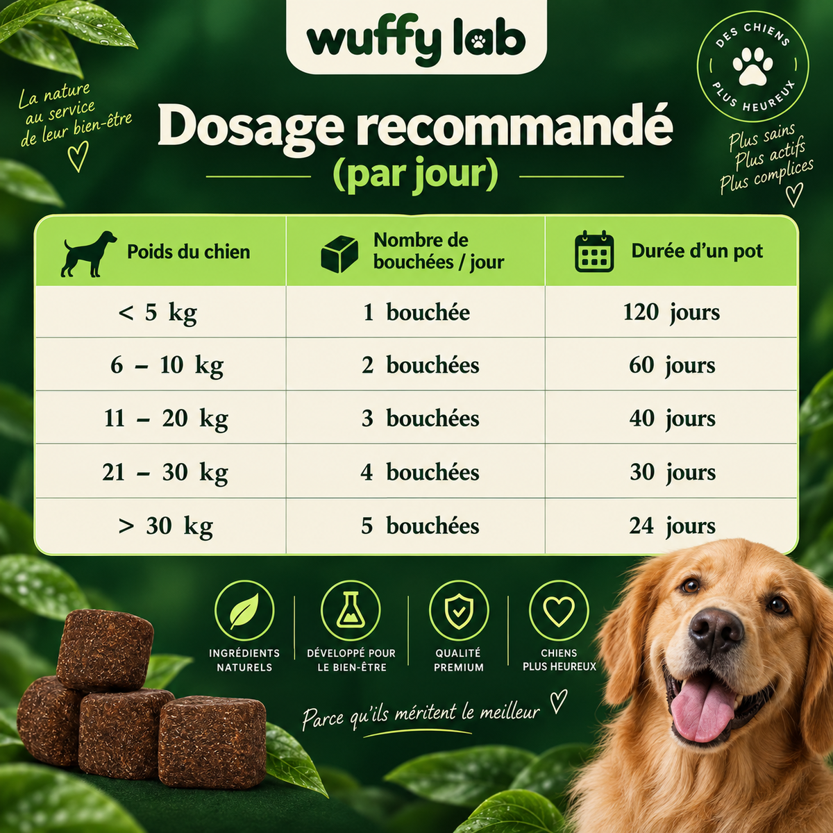 WuffyLab Immunité & Démangeaisons