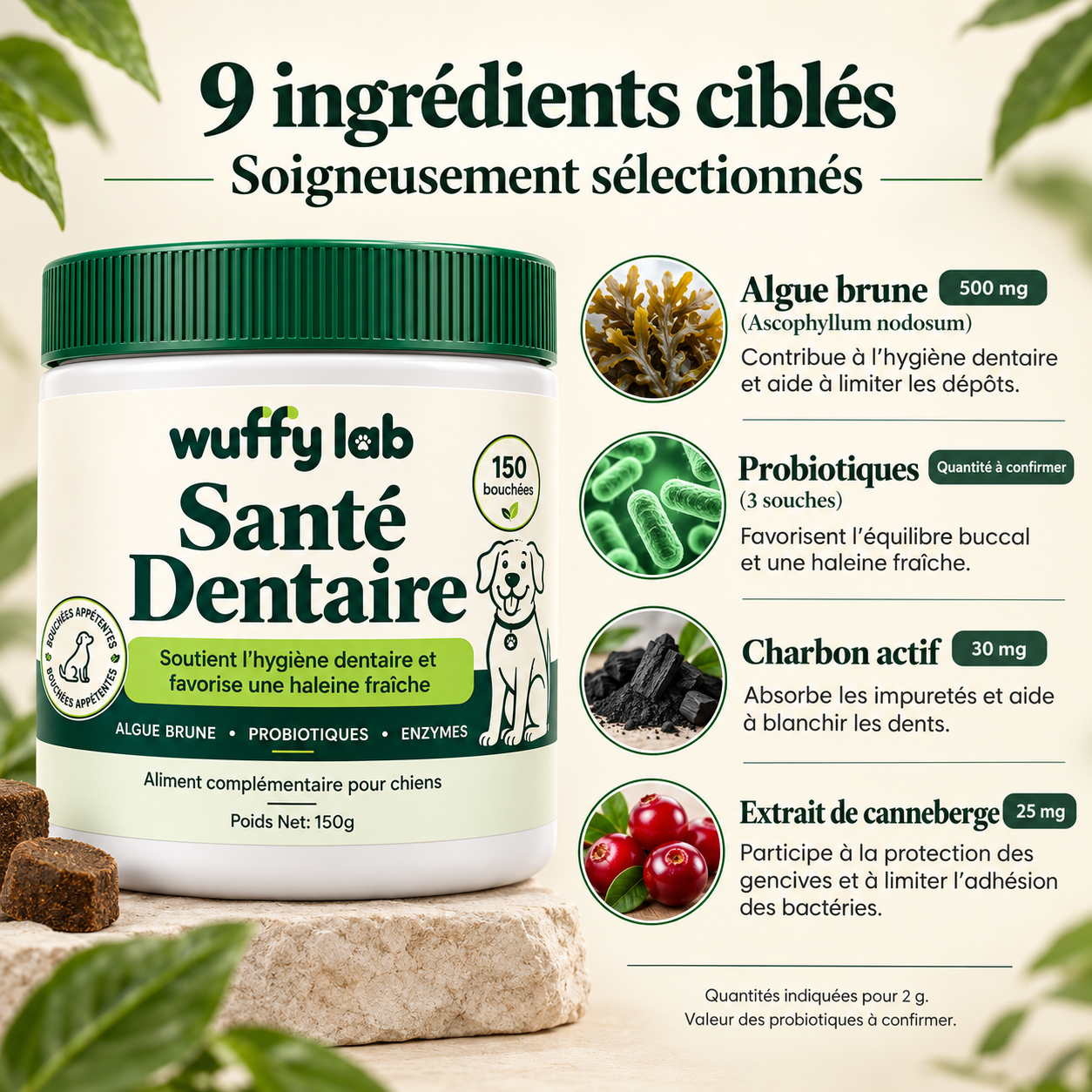 WuffyLab Hygiène Dentaire