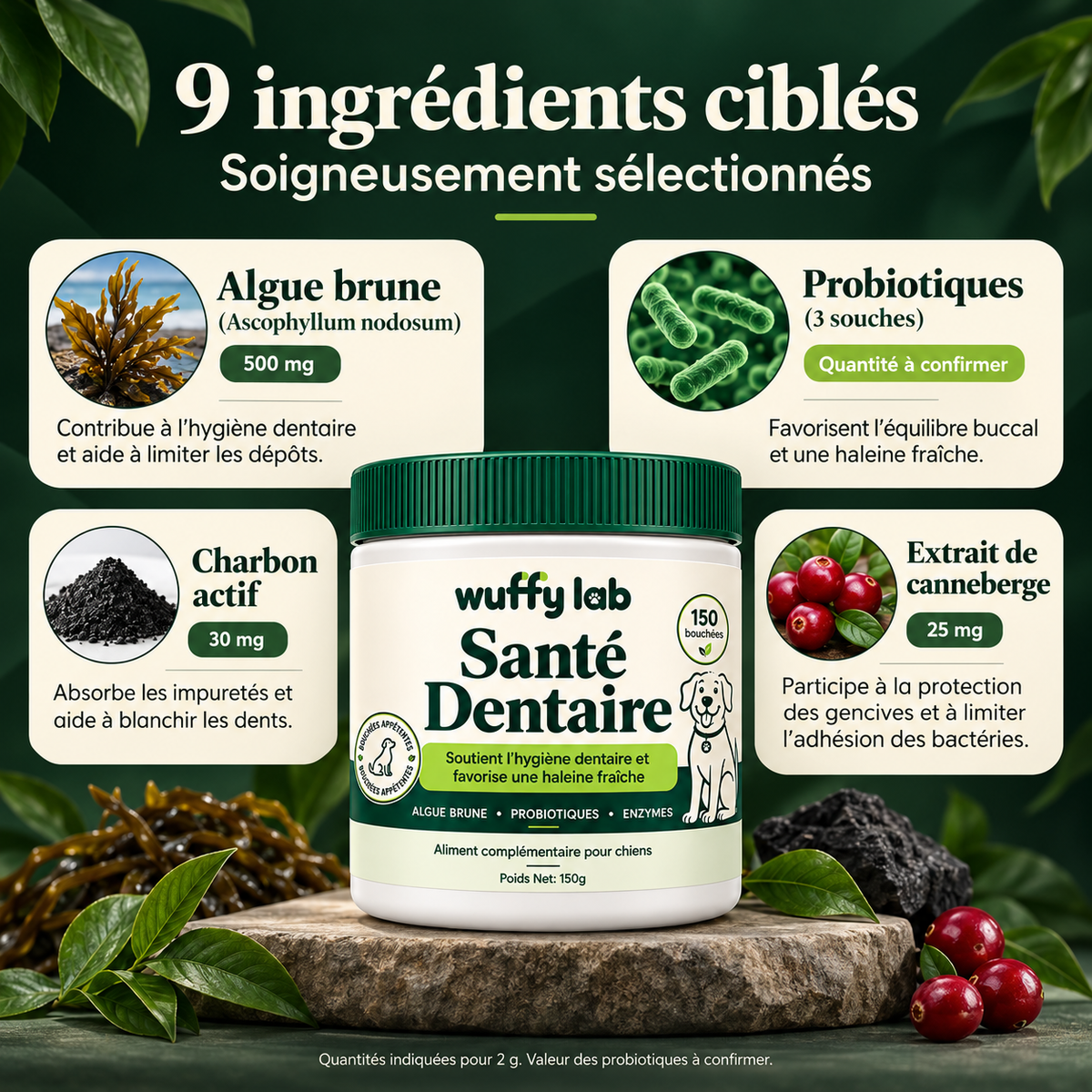 WuffyLab Hygiène Dentaire