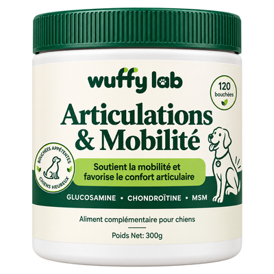 WuffyLab Articulations & Mobilité