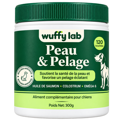 WuffyLab Peau & Pelage