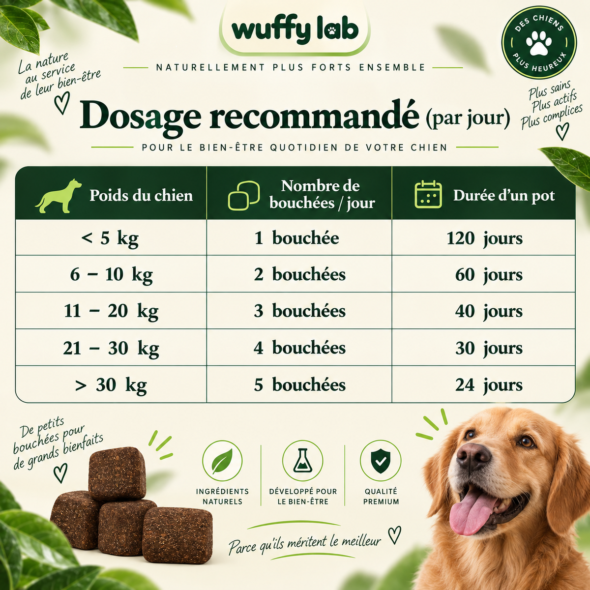WuffyLab Immunité & Démangeaisons