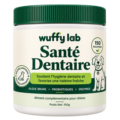 WuffyLab Hygiène Dentaire