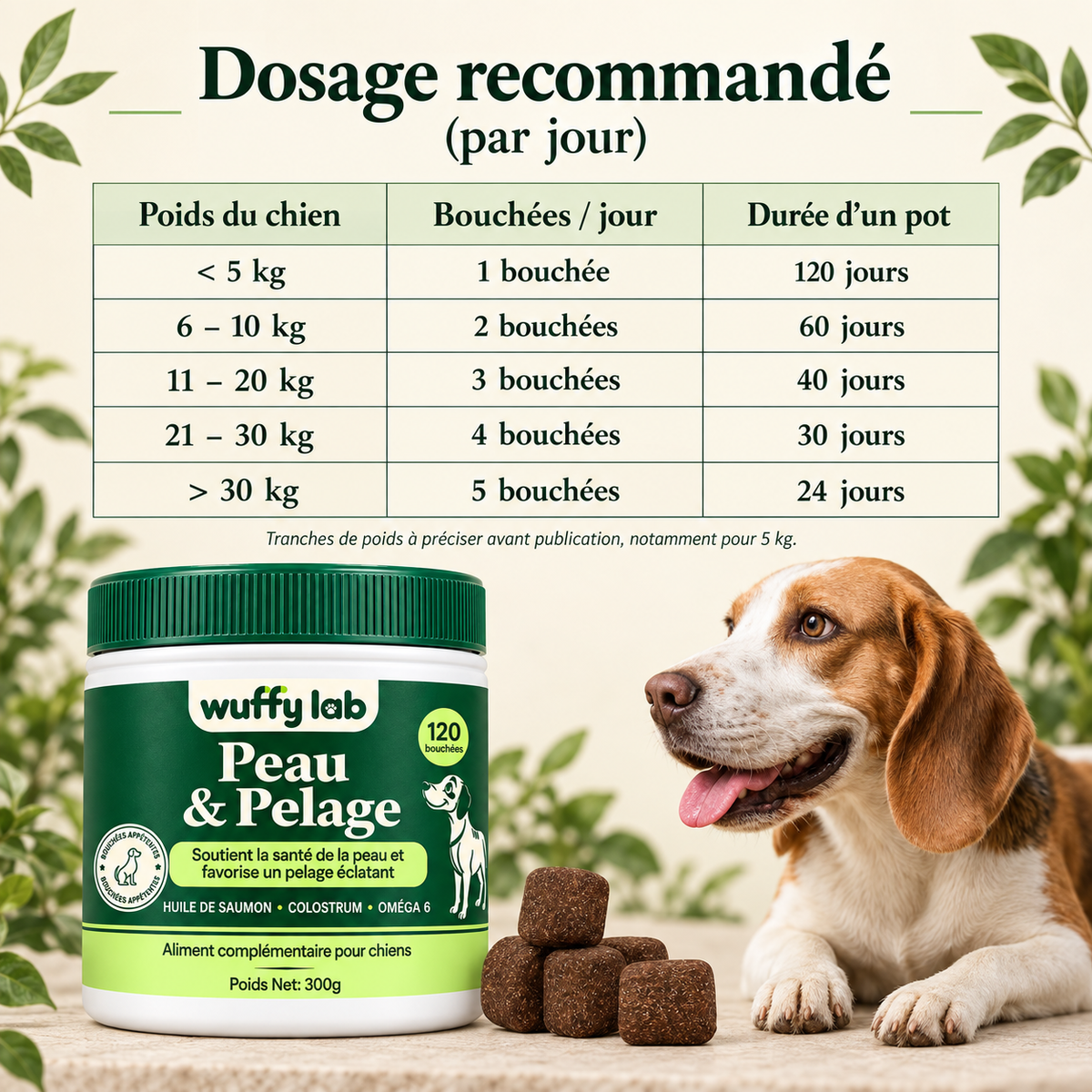 WuffyLab Peau & Pelage