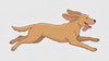 wl-fc-running-dog